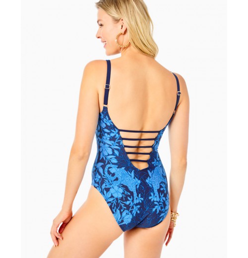 Jaspen One-Piece Swimsuit