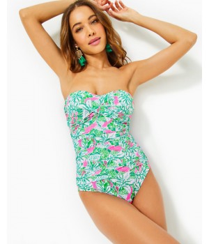 Flamenco One-Piece Swimsuit