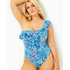 Caelum Ruffle One-Piece Swimsuit